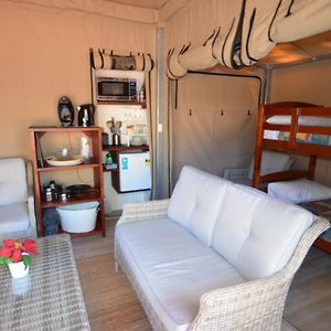 Luxury  Tent